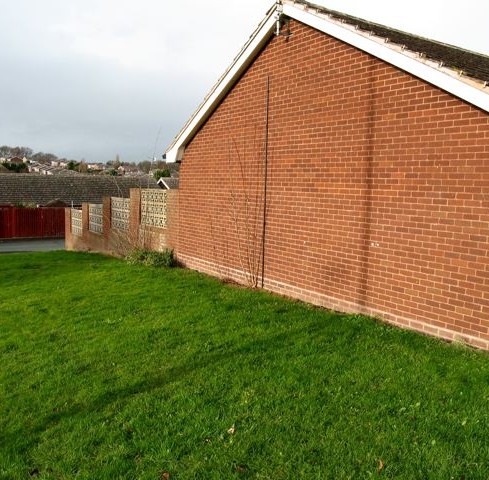 A bare brick wall which could be used for growing trained fruit, and a lawn that could be turned into a food garden.