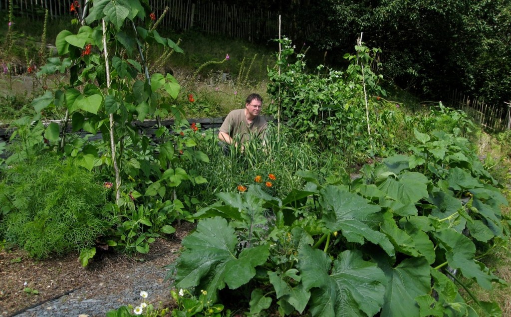 Gardening writer and author john walker working in his earth-friendly food garden.